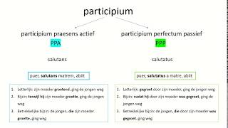 Latijnse grammatica uitleg participium [upl. by Cioban]