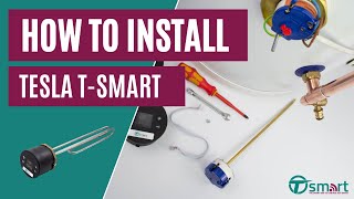 Tesla Model T Smart Thermostat Immersion Heater How to Install [upl. by Zawde]