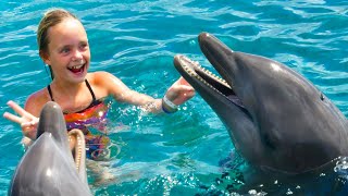 We Play with Dolphins on a Tropical Island Kids Fun TV [upl. by Hyland282]