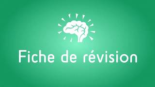 Faire une fiche de révision en Physique Chimie [upl. by Hael332]