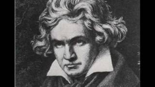 Ludwig van Beethoven  Funeral March Part 1 [upl. by Moreen994]