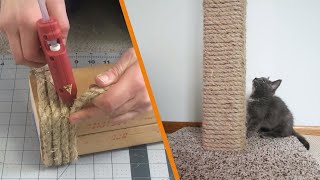 DIY Cat Scratching Post [upl. by Lyndel]