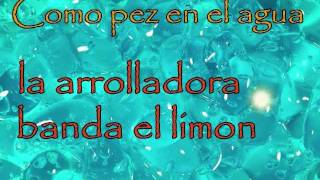 Como pez en el agua  La arrolladora Letra [upl. by Aninay625]