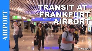 TRANSIT WALK AT FRANKFURT Airport FRA Terminal 1  Connection Flight Transfer Arriving amp Departing [upl. by Aihsoj542]