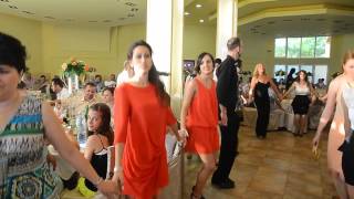 Milana amp Stefan Full Wedding Video [upl. by Aretak]