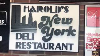 Harolds New York Delis Infamous Large Portions [upl. by Haerdna79]