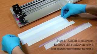 Rapid Test Immunoassay Membrane tutorial [upl. by Rawley735]