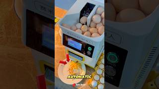 Fried egg cooking innovation from China [upl. by Atela]