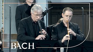 Bach  Cantata Gottes Zeit Actus Tragicus BWV 106  Van Veldhoven  Netherlands Bach Society [upl. by Ayetal76]