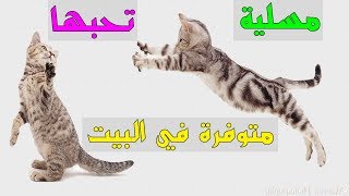 أشهر 4 ألعاب تحبها القطط بجنونquotيجب أن تجربوهاquot [upl. by Nek657]