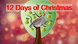 12 DAYS OF CHRISTMAS instrumental with lyrics [upl. by Templas]