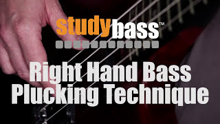 Plucking Right Hand Bass Technique  StudyBass [upl. by Peednama]