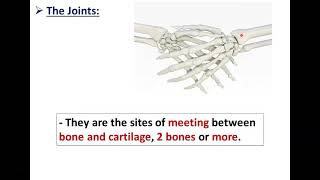 Anatomy of Joints  Dr Ahmed Farid [upl. by Konrad]