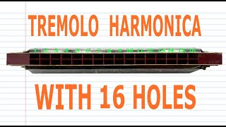 How to Play a Tremolo Harmonica with 16 Holes [upl. by Ajna]