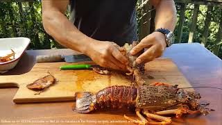 NZ crayfishrocklobster preparation [upl. by Iyre877]