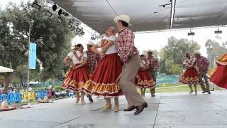 Bailando El Tololoche [upl. by Eyla]