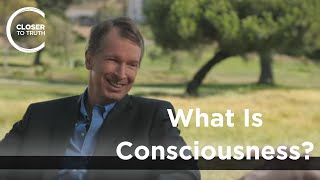 Donald Hoffman  What is Consciousness [upl. by Maurizio]