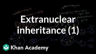 13  Inheritance and Polymorphism In Java  Part 1  برمجة 2 [upl. by Necaj]