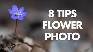 My 8 Best Tips for Flower Photography [upl. by Sebastiano]