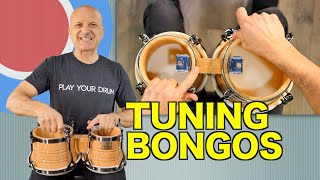 How to Tune Bongos  Tutorial [upl. by Ayihsa]