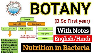 Nutrition in Bacteria  Nutritional requirements of Bacteria  BSC first year Botany  fist paper [upl. by Martineau]