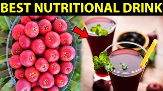 Best Nutritional Drink  Kokum Sharbat  Garcinia Indica Health Benefits [upl. by Morez51]